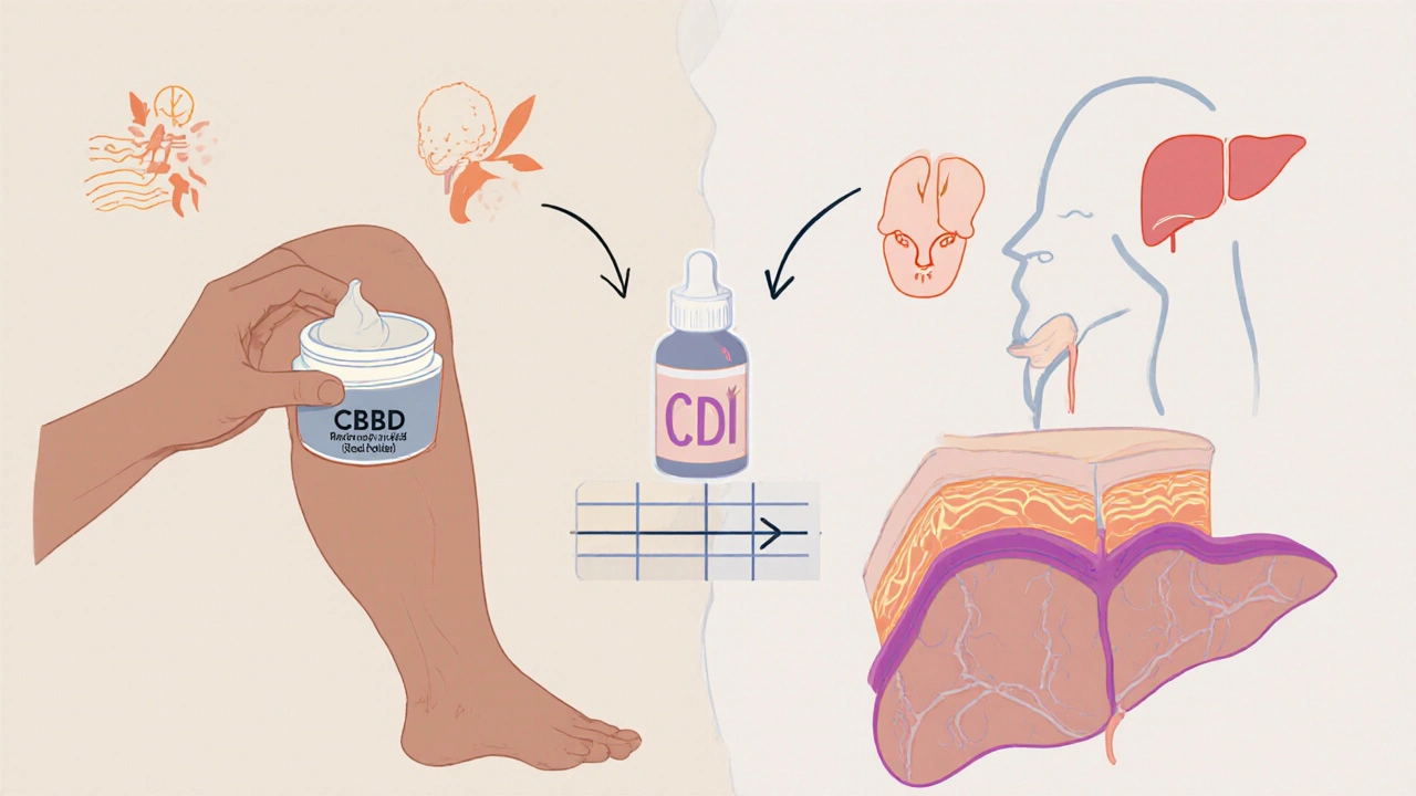 Porovnání lokálního účinku CBD krému a systémového účinku CBD oleje.
