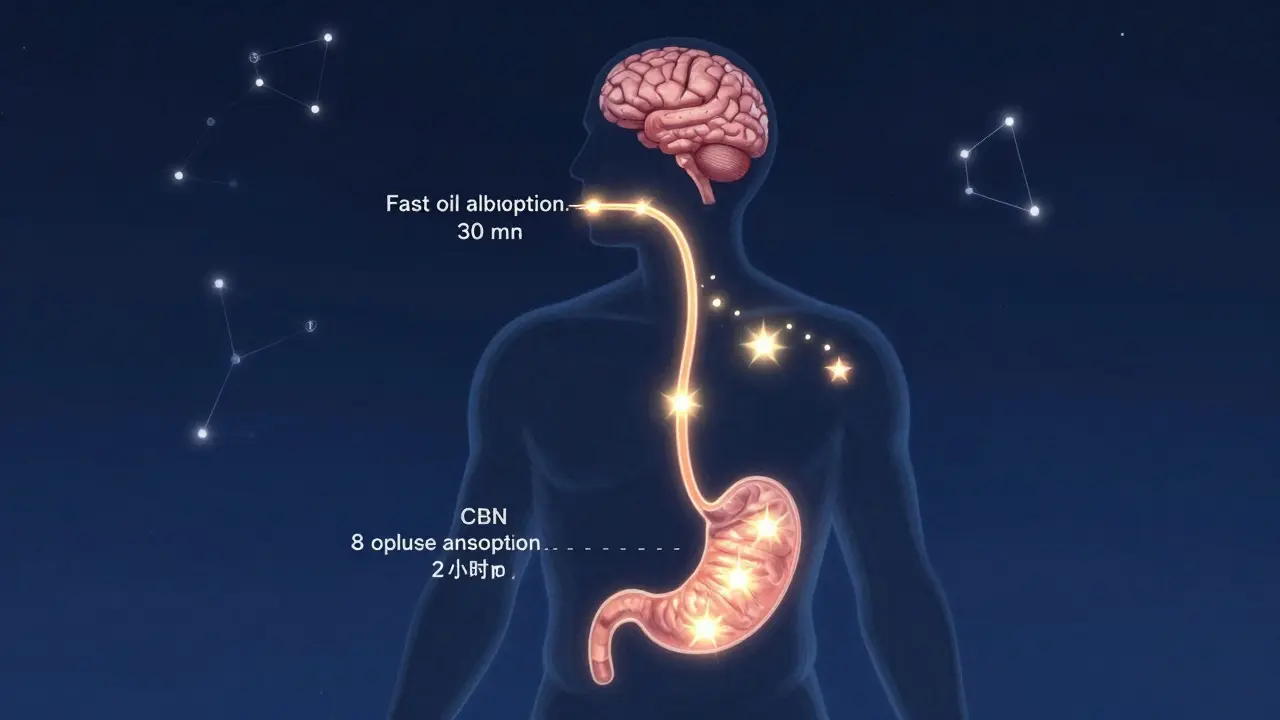Koncepční obrázek těla s cestami CBN molekul různou rychlostí do mozku.