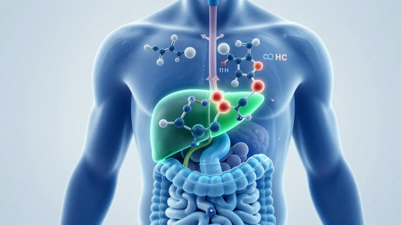 Ilustrace metabolismu THC v játrech a změny molekuly